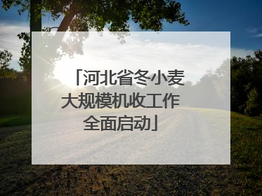 河北省冬小麦大规模机收工作全面启动